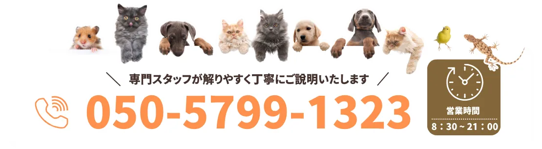 こもれび富士のペット火葬・葬儀のご相談窓口（電話番号 050-5799-1323 / 営業時間 8:30～21:00）専門スタッフが解りやすく丁寧にご説明いたします