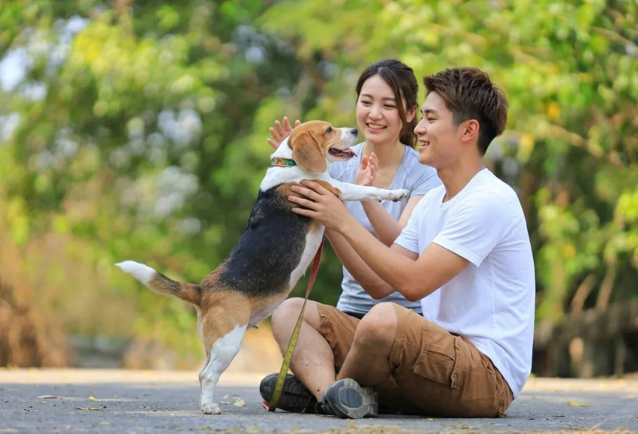 こもれび富士の代表メッセージ｜大切なペット（愛犬）との幸せな思い出に寄り添うご挨拶