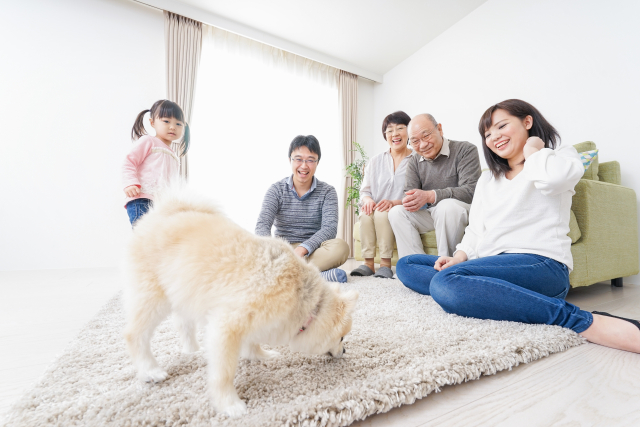 富士宮市のペット火葬・訪問火葬｜料金・流れ・業者選びを解説